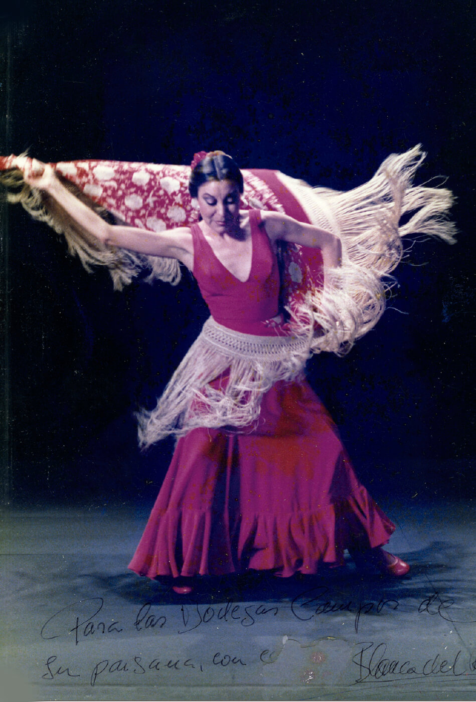 flamenca-galeria-salones-restaurante-espacios-bodegas-campos (1) flamenca-galeria-salones-restaurante-espacios-bodegas-campos (1)
